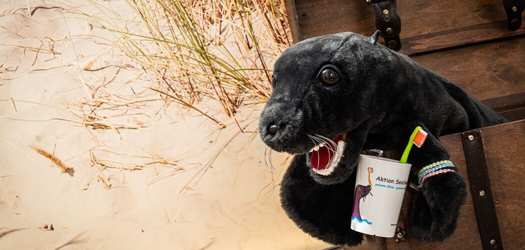 Kinder- und Jugendprophylaxe bei Dr. Peter Sporer